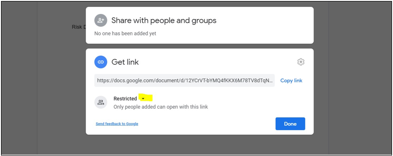How Do I Create a Risk Disclosure in Google Documents?